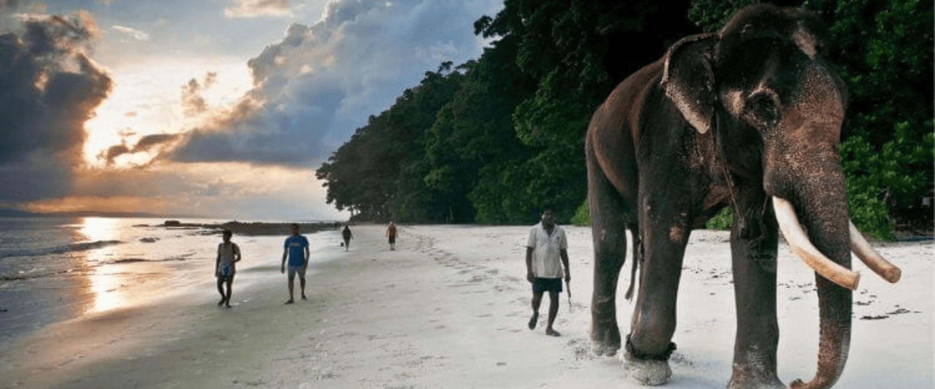 Best Andaman Tour Package for Single Women and Group of Women