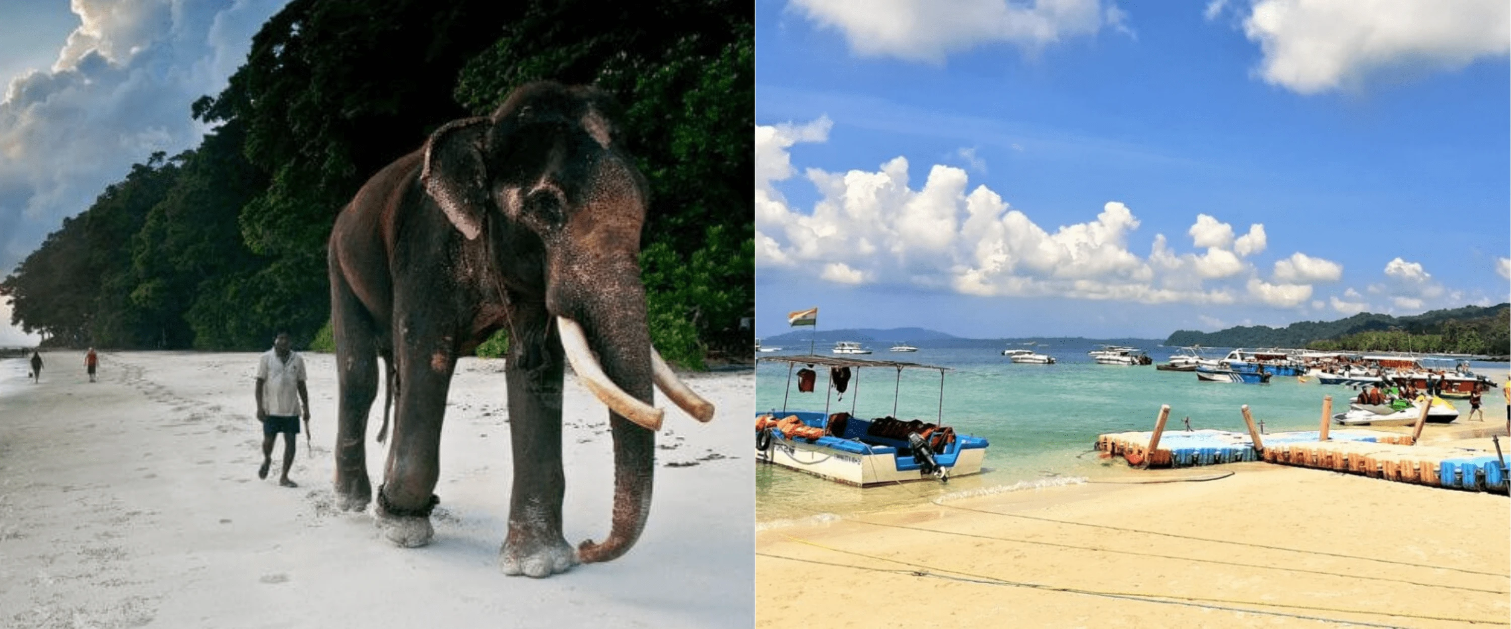 Best Andaman Tour Package for Single Women and Group of Women