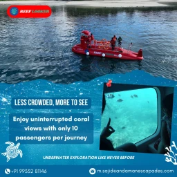 Experience the Vibrant ocean-dive into the beautiful colours of  Marine life
