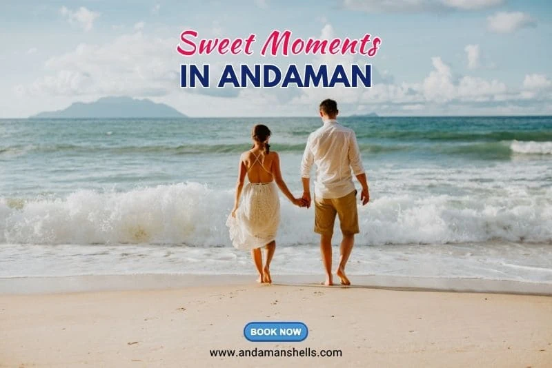 Andaman Tour Honeymoon Packages From Mumbai